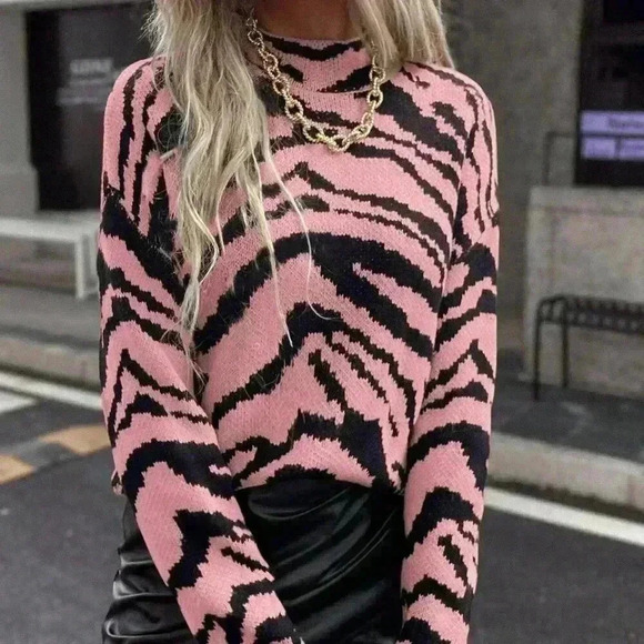 Multicolor Casual Women's Zebra Pattern Batwing Sleeve Pullover Sweater - Picture 1 of 7